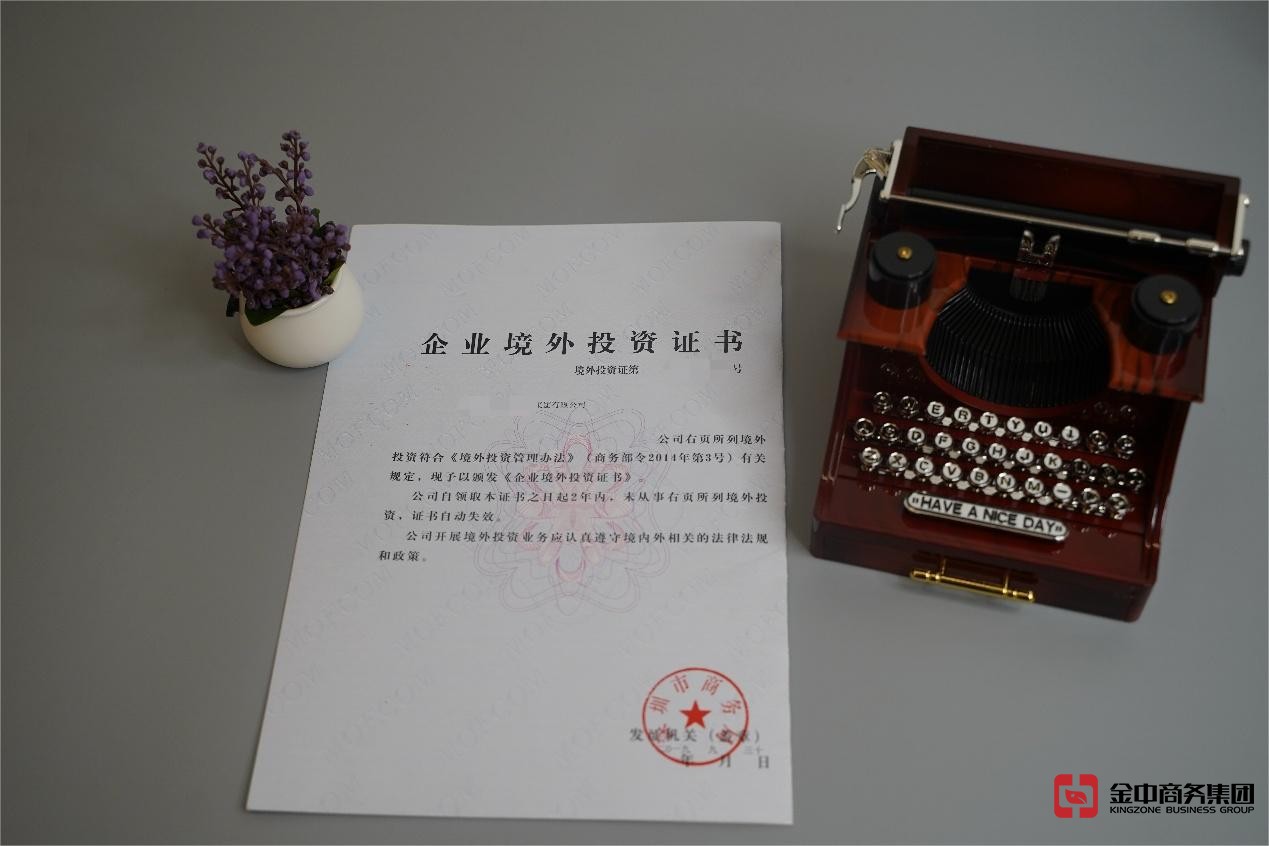 东南亚境外投资备案